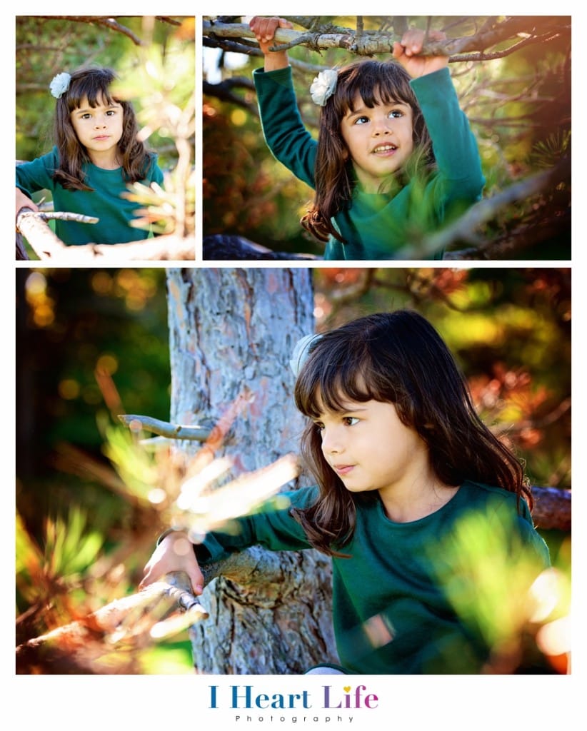 Beautiful fall family pictures at Rocky River Ohio. Modern & vibrant pictures.