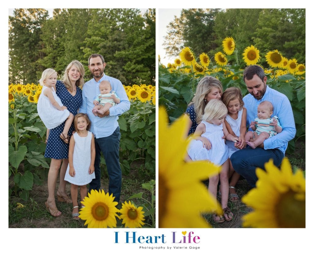 Family Photos at Avon Sunflower Field