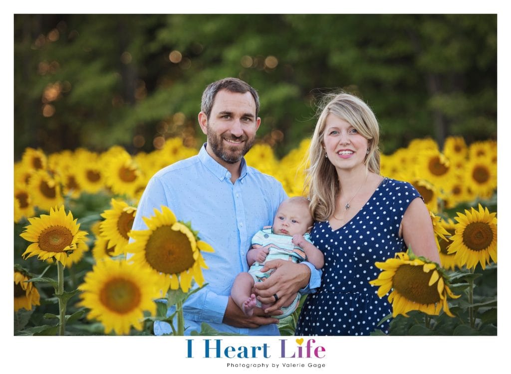 Family Photos at Avon Sunflower Field