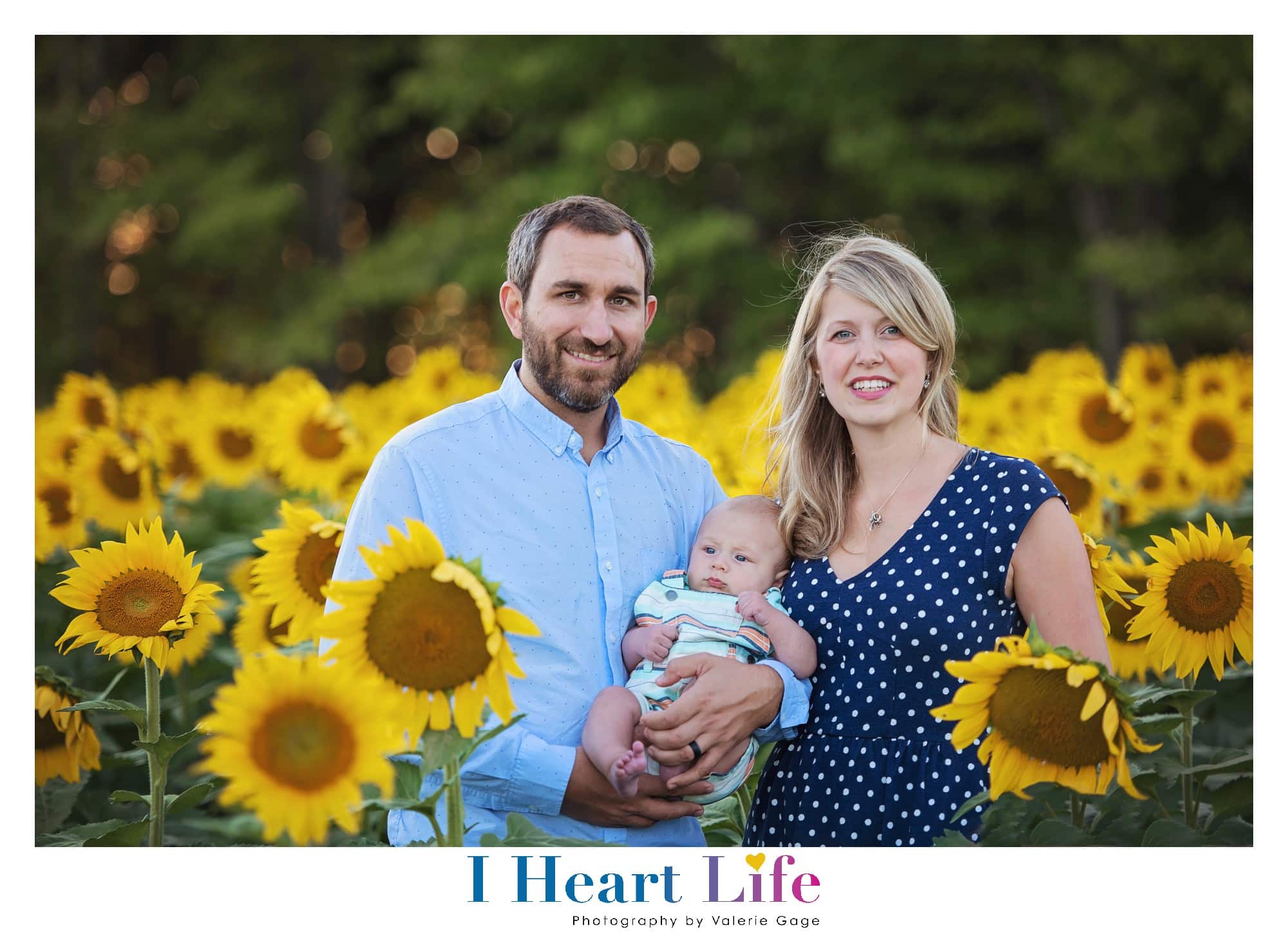 Avon Family Photography | The D Family Pictures at Sunflower Field