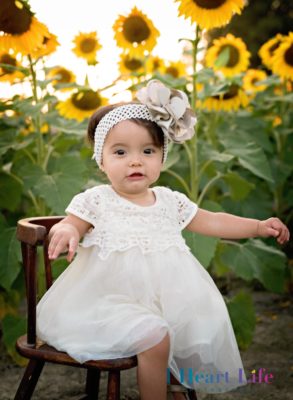 Sunflower Family Photos | Prayers From Maria, Cleveland Ohio ...